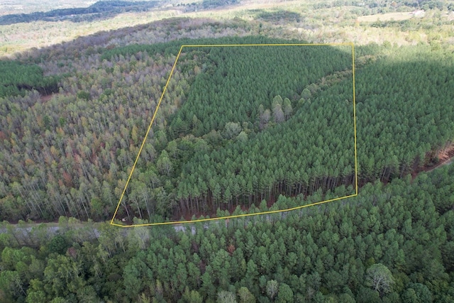 TRACT4 Airport Rd, Piney Creek Acres, Rockwood, TN 37854 - photo 29