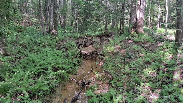 TRACT4 Airport Rd, Piney Creek Acres, Rockwood, TN 37854 - photo 25