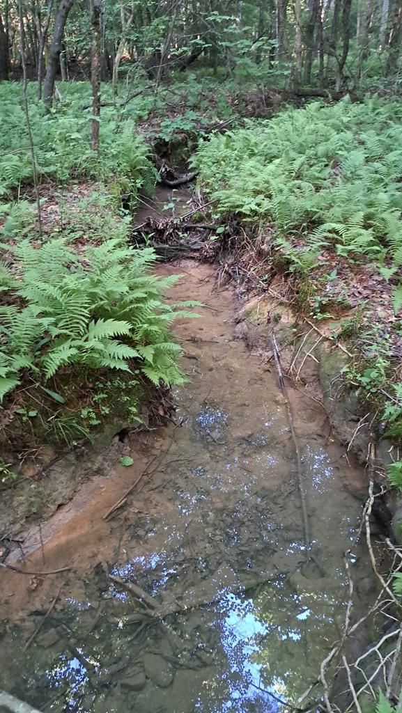 TRACT4 Airport Rd, Piney Creek Acres, Rockwood, TN 37854 - photo 5