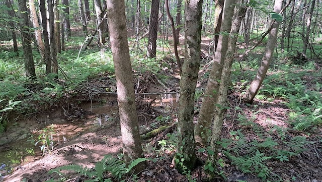 TRACT4 Airport Rd, Piney Creek Acres, Rockwood, TN 37854 - photo 8