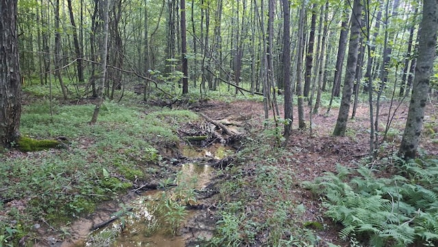 TRACT4 Airport Rd, Piney Creek Acres, Rockwood, TN 37854 - photo 1