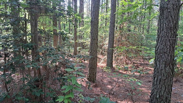 TRACT4 Airport Rd, Piney Creek Acres, Rockwood, TN 37854 - photo 20