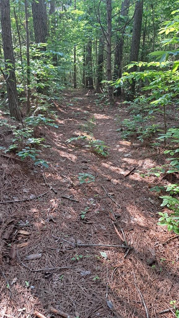 TRACT4 Airport Rd, Piney Creek Acres, Rockwood, TN 37854 - photo 26