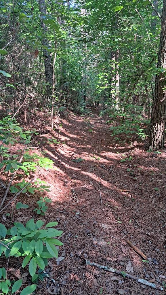 TRACT4 Airport Rd, Piney Creek Acres, Rockwood, TN 37854 - photo 22