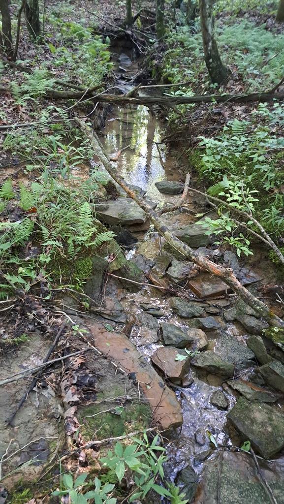 TRACT4 Airport Rd, Piney Creek Acres, Rockwood, TN 37854 - photo 28