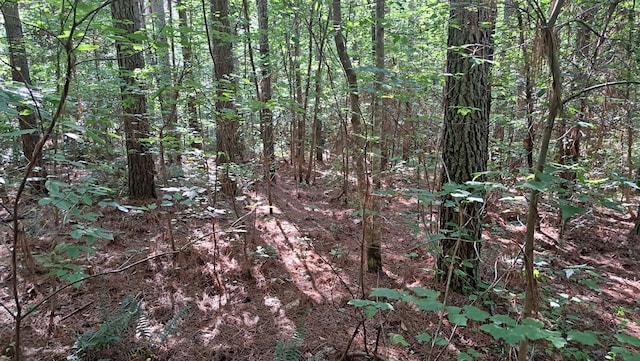 TRACT4 Airport Rd, Piney Creek Acres, Rockwood, TN 37854 - photo 18
