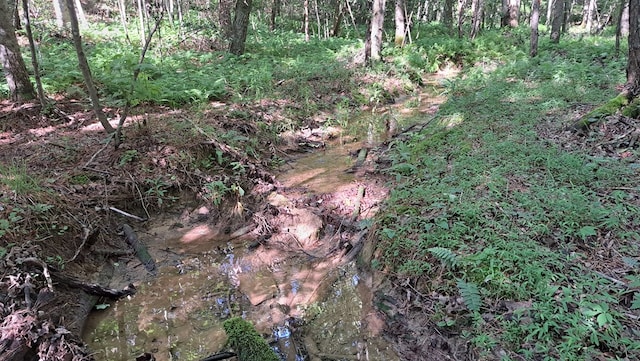 TRACT4 Airport Rd, Piney Creek Acres, Rockwood, TN 37854 - photo 12