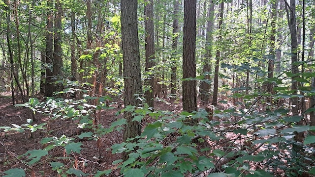 TRACT4 Airport Rd, Piney Creek Acres, Rockwood, TN 37854 - photo 14