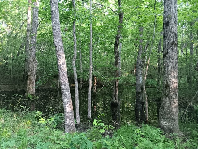 LOT19 Cross Dr, Monterey, TN 38574 - photo 20