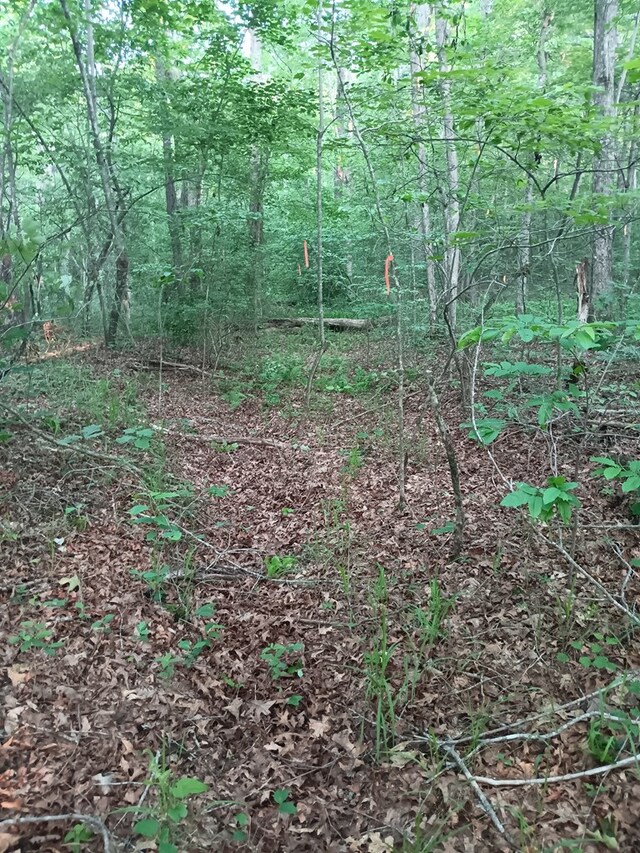 LOT19 Cross Dr, Monterey, TN 38574 - photo 15