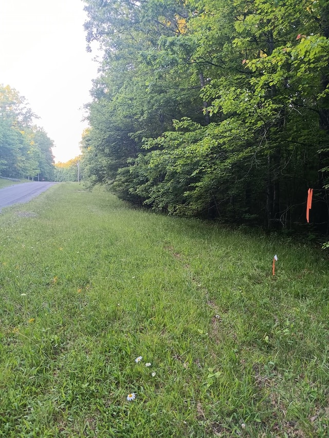 LOT19 Cross Dr, Monterey, TN 38574 - photo 6