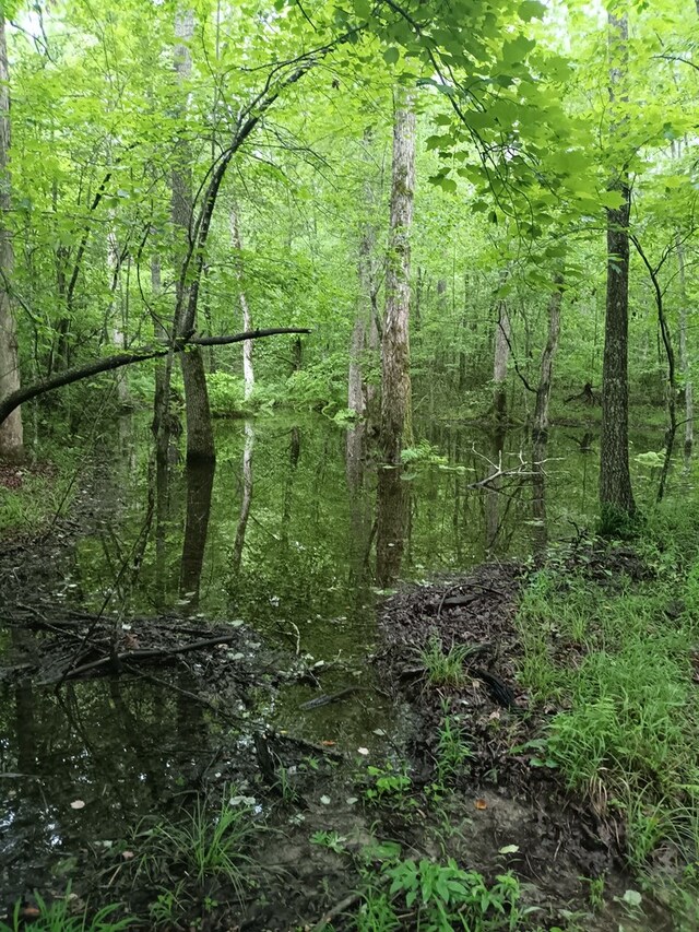 LOT19 Cross Dr, Monterey, TN 38574 - photo 22