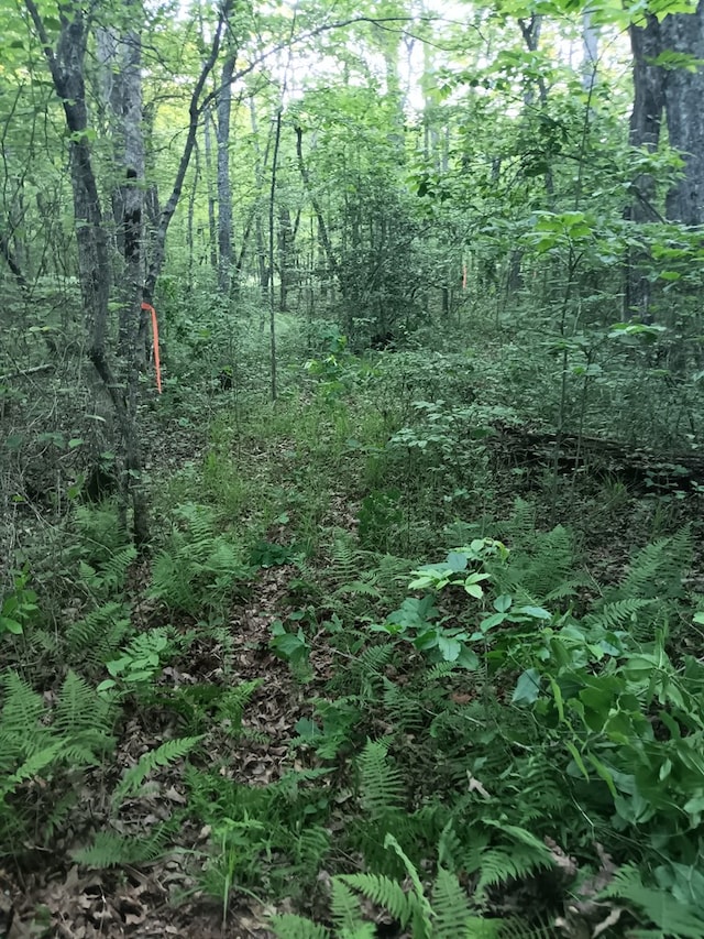 LOT19 Cross Dr, Monterey, TN 38574 - photo 16