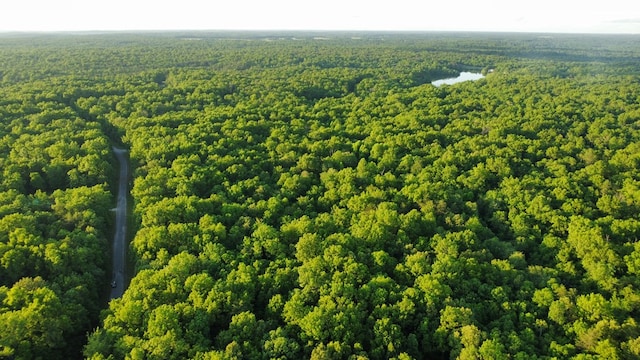 LOT19 Cross Dr, Monterey, TN 38574 - photo 12