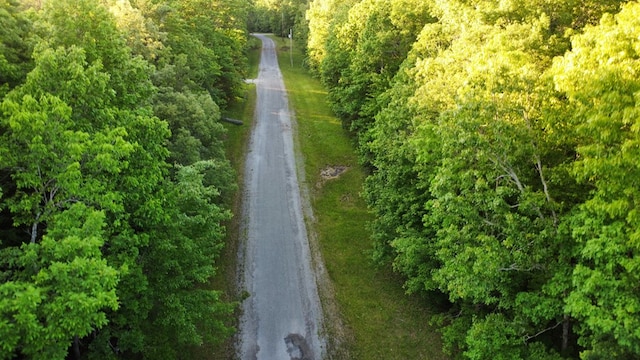 LOT19 Cross Dr, Monterey, TN 38574 - photo 8