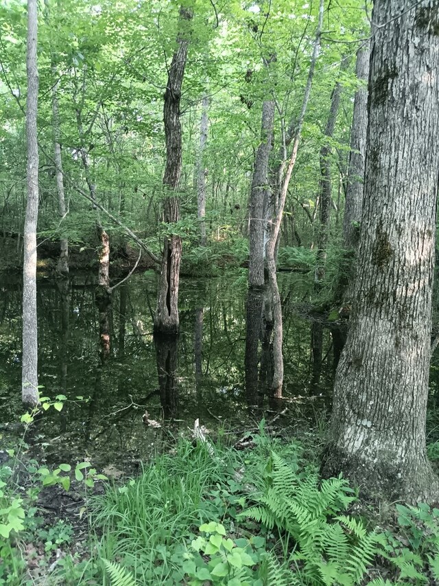 LOT19 Cross Dr, Monterey, TN 38574 - photo 21