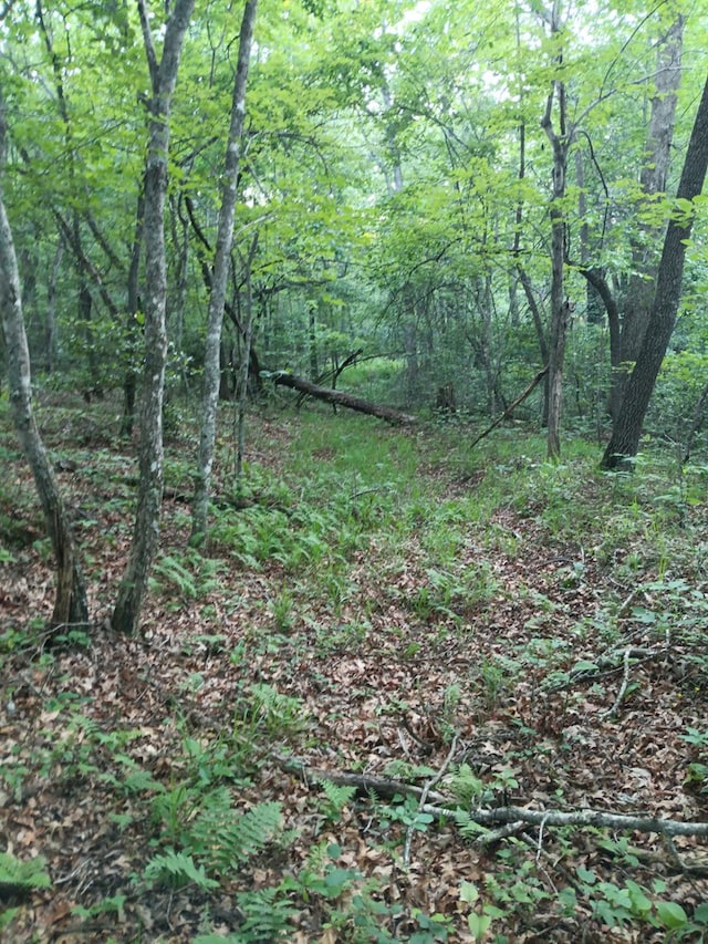 LOT19 Cross Dr, Monterey, TN 38574 - photo 17