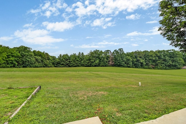 964 Joe Tabor Rd, Crossville, TN 38571 - photo 20