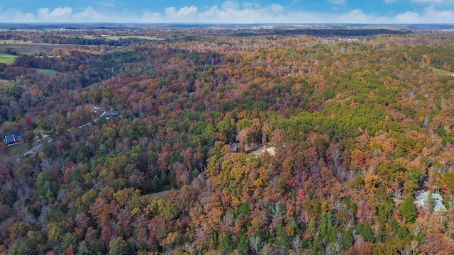 aerial view with a view of trees