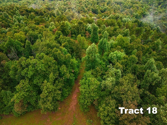 Listing photo 3 for 5.1AC Bear Knob Ln, Crawford TN 38554