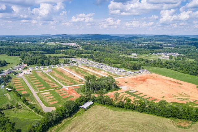 5437 Mason Way, Cookeville, TN 38506 - photo 25