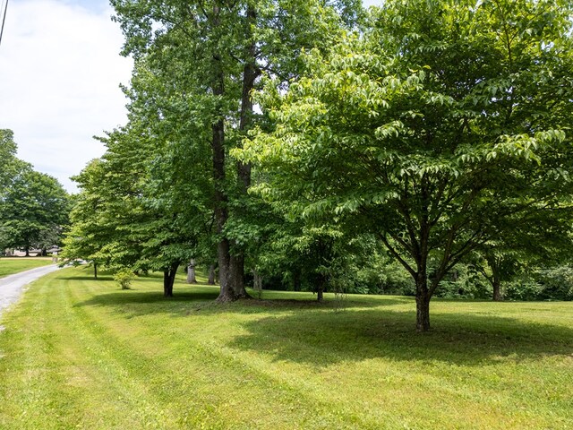 1ACRE Lafever Ridge Rd, Silver Point, TN 38582