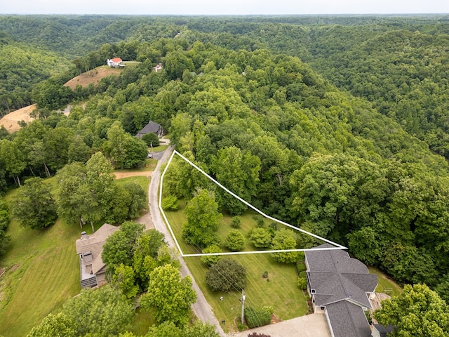 1ACRE Lafever Ridge Rd, Silver Point, TN 38582