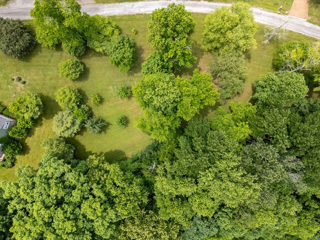 1ACRE Lafever Ridge Rd, Silver Point, TN 38582