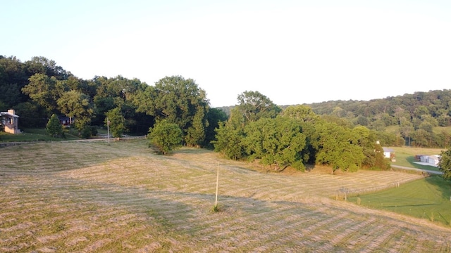 0 Bradford Hill Rd N, Brush Creek, TN 38547 - photo 2