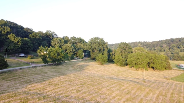 0 Bradford Hill Rd N, Brush Creek, TN 38547 - photo 3