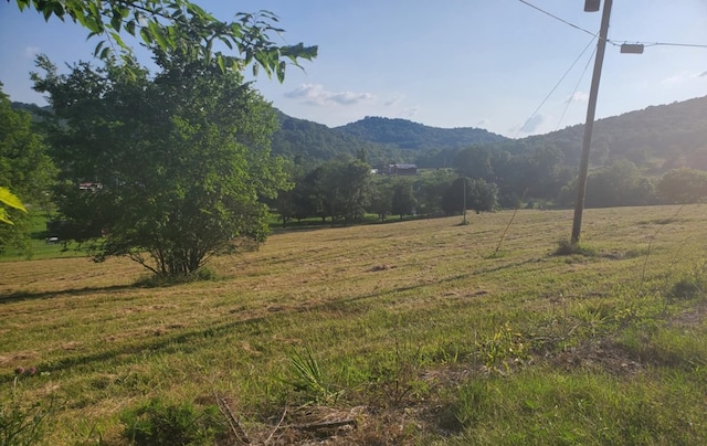 0 Bradford Hill Rd N, Brush Creek, TN 38547 - photo 7