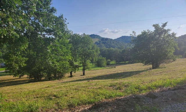 0 Bradford Hill Rd N, Brush Creek, TN 38547 - photo 6