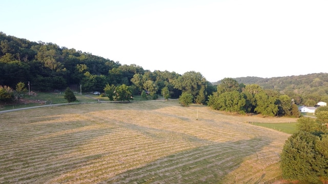 0 Bradford Hill Rd N, Brush Creek, TN 38547 - photo 5