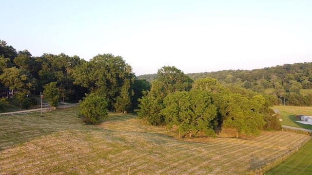 0 Bradford Hill Rd N, Brush Creek, TN 38547 - photo 1