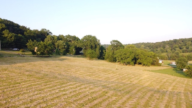 0 Bradford Hill Rd N, Brush Creek, TN 38547 - photo 4