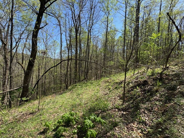 564 T Short Ln, Cookeville, TN 38501