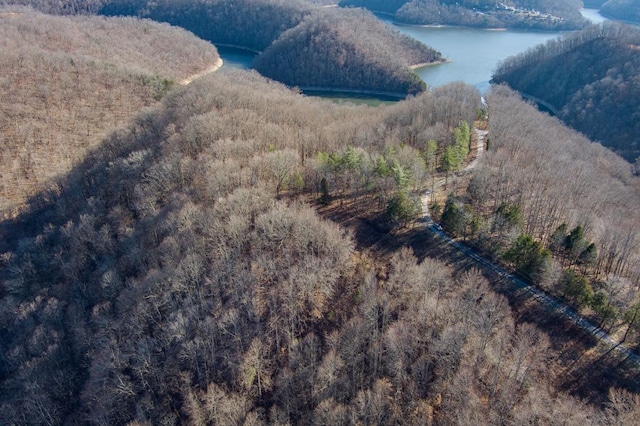 LOT38 Lanis Rd, Baxter TN, 38544 land for sale