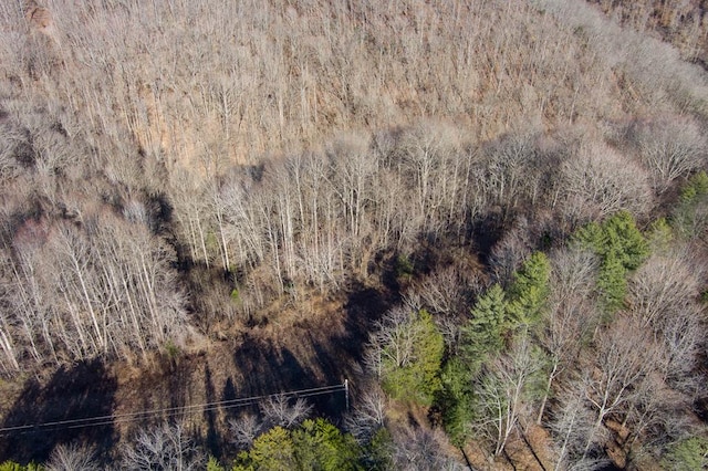 Listing photo 3 for LOT38 Lanis Rd, Baxter TN 38544