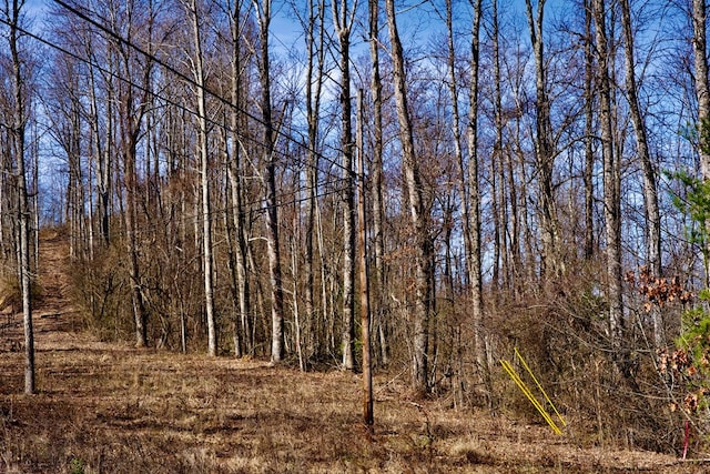 266AC Meadow Lark, Dunlap, TN 37327 - photo 3