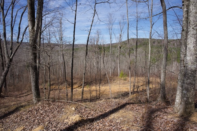 266AC Meadow Lark, Dunlap, TN 37327 - photo 7