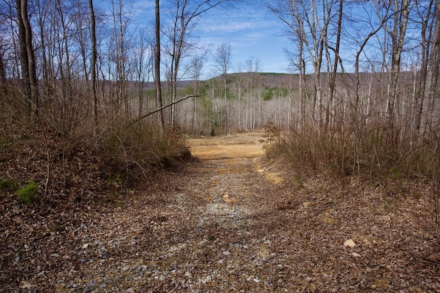 266AC Meadow Lark, Dunlap, TN 37327 - photo 6