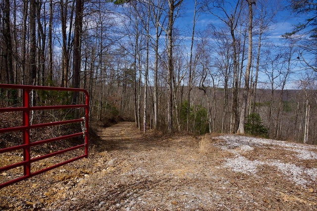 266AC Meadow Lark, Dunlap, TN 37327 - photo 4