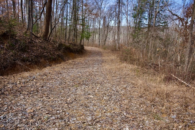 266AC Meadow Lark, Dunlap, TN 37327 - photo 5