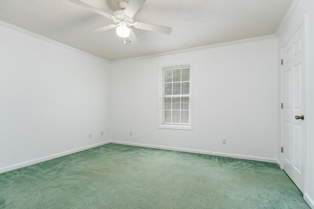 237 Windsor Dr, Cookeville, TN 38506 - photo 37