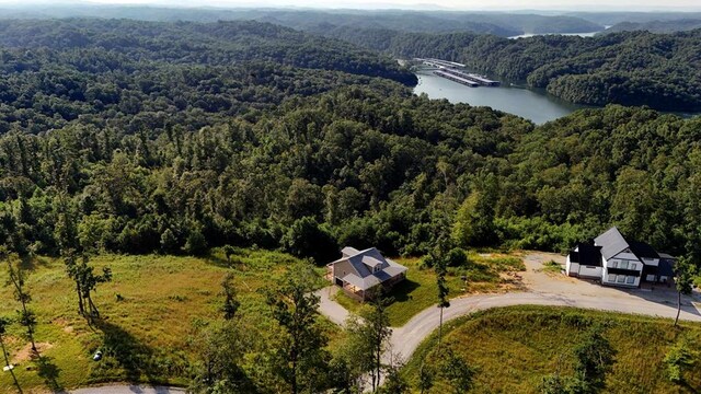357 Taylor Rd, Byrdstown, TN 38549 - aerial view of a heavily wooded area and a nearby body of water