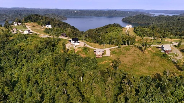 357 Taylor Rd, Byrdstown, TN 38549 - aerial view of property and surrounding area with a large body of water and a heavily wooded area