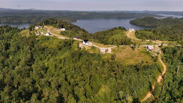 357 Taylor Rd, Byrdstown, TN 38549 - aerial view of property's location with a heavily wooded area and a large body of water