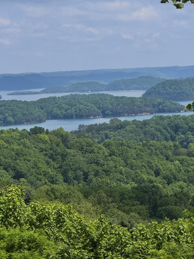 LOT026C Rockfish Rd, Hilham, TN 38551