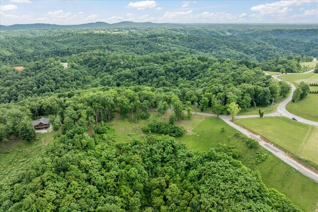 LOT026C Rockfish Rd, Hilham, TN 38551