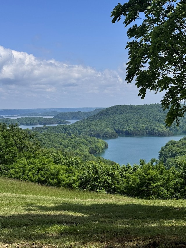 LOT026C Rockfish Rd, Hilham, TN 38551